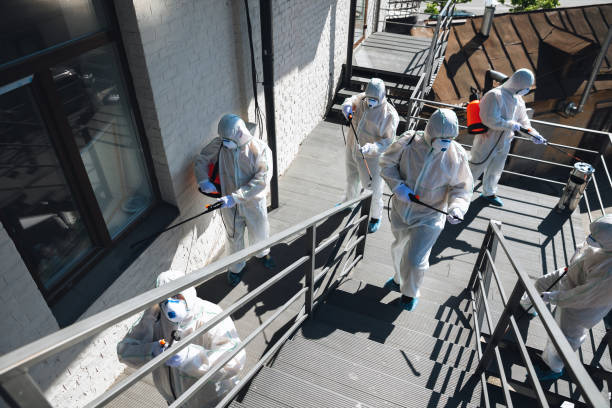 Best Biohazard Mold Removal  in Fairview, OK