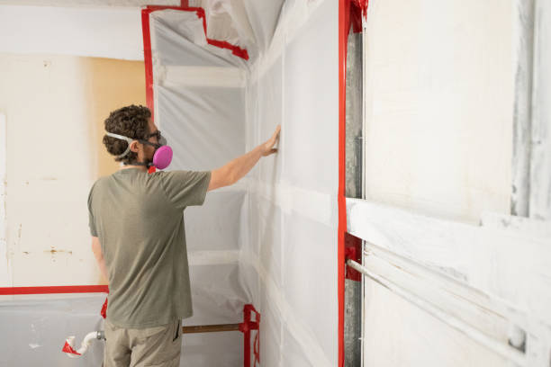 Best Airborne Mold Testing  in Fairview, OK