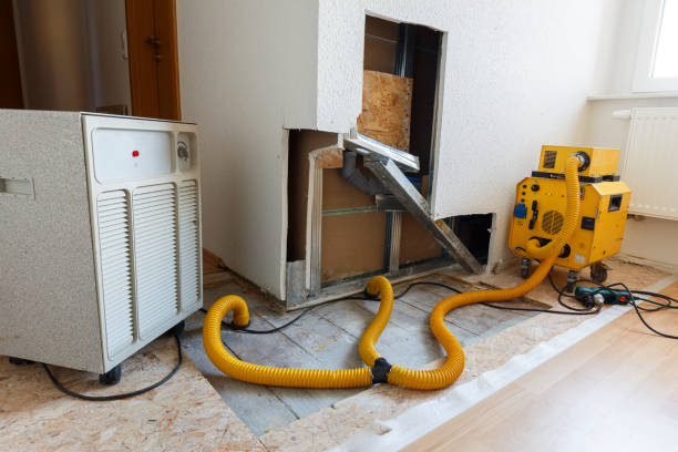 Environmental Consulting for Mold Prevention in Fairview, OK