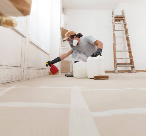 Best Emergency Mold Remediation  in Fairview, OK